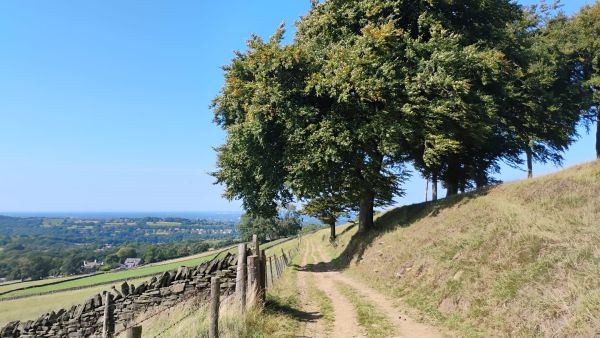A view along the path with a tree to the right and blue sky in the distance